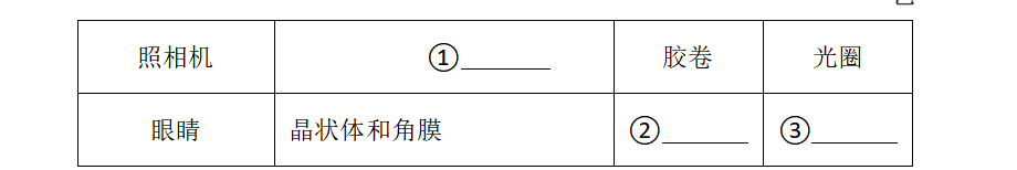子题配图